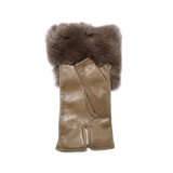 CRL-0155 (CorrealeGloves)